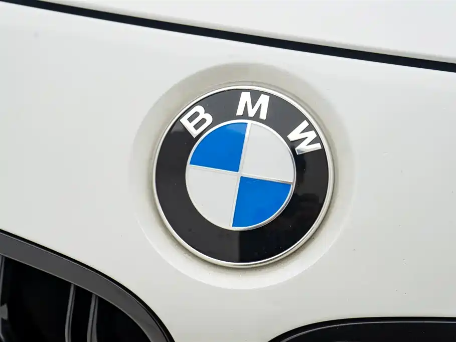 BMW 3 Series 2019 320Li Fashion Type фото 9