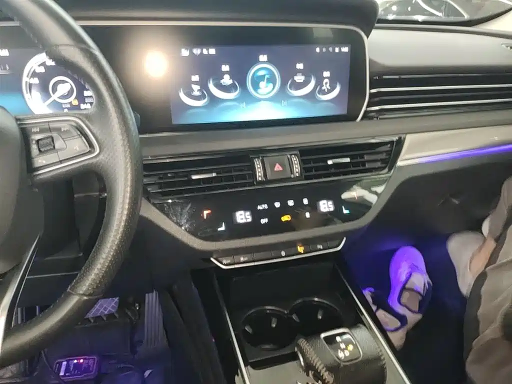 Hongqi HS5 2022 Facelift 2.0T Smart Flag Enjoyment AWD Edition фото 10