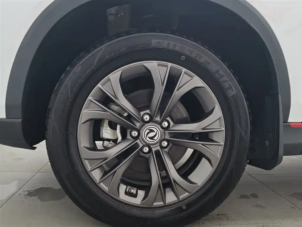 DONGFENG SCENERY 500