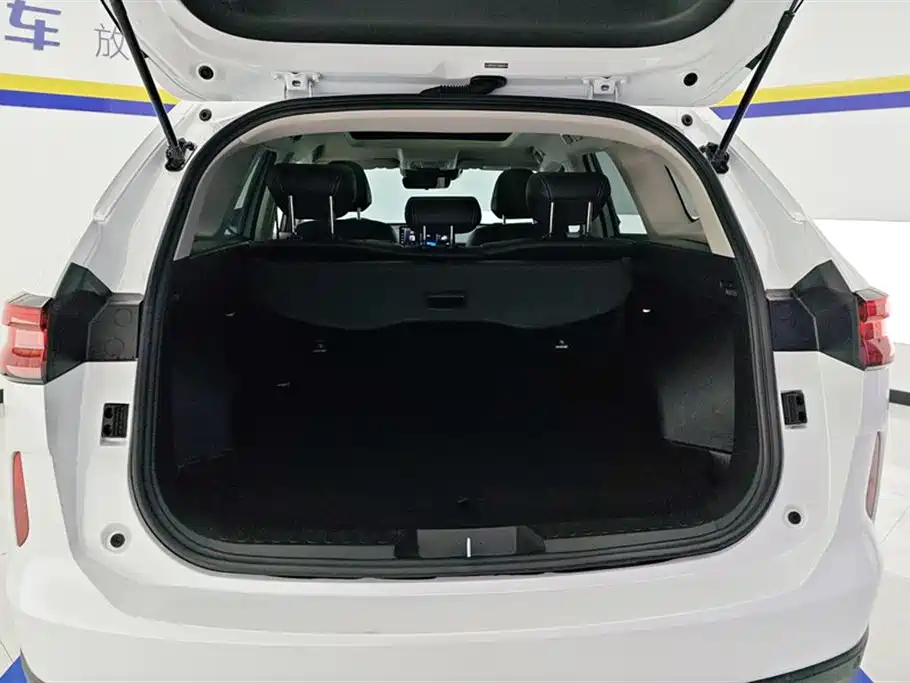 Haval H6 2024 Model 1.5T 2WD Classic Edition фото 4