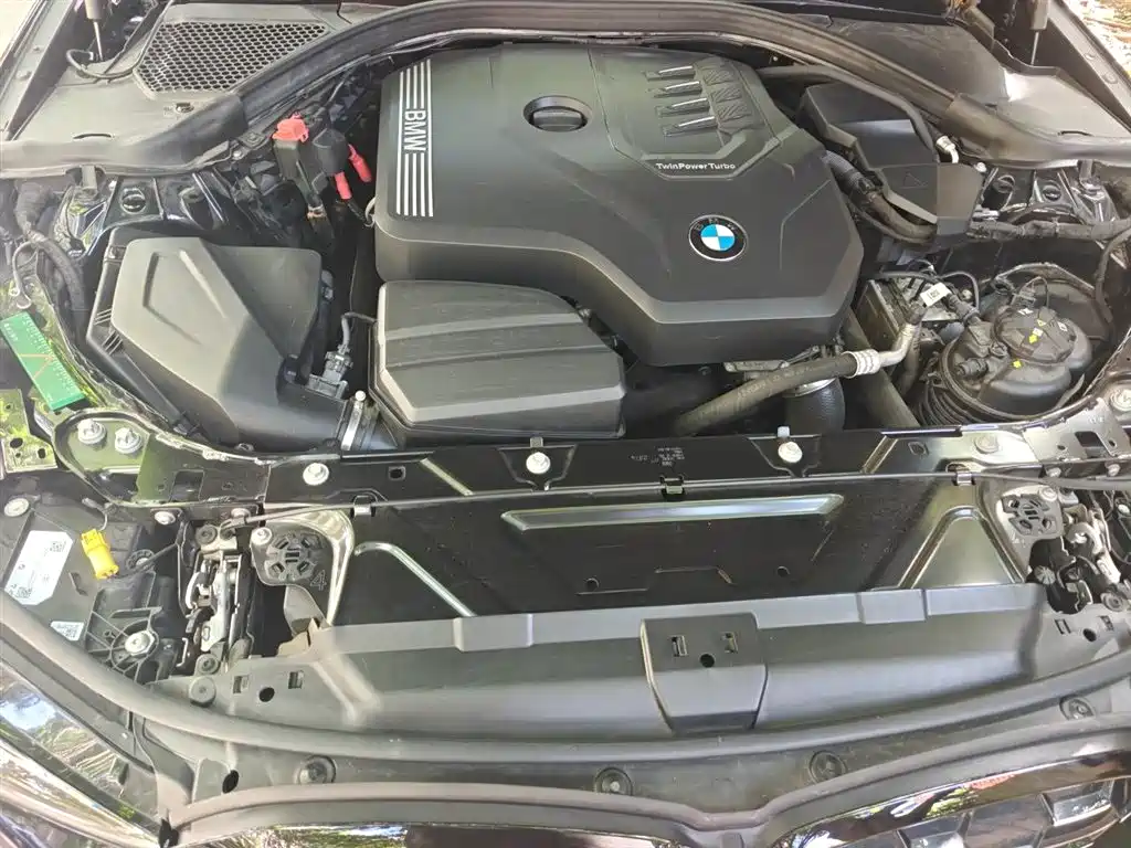 BMW 3 Series 2024 325Li M Sport Shadowline Package фото 11