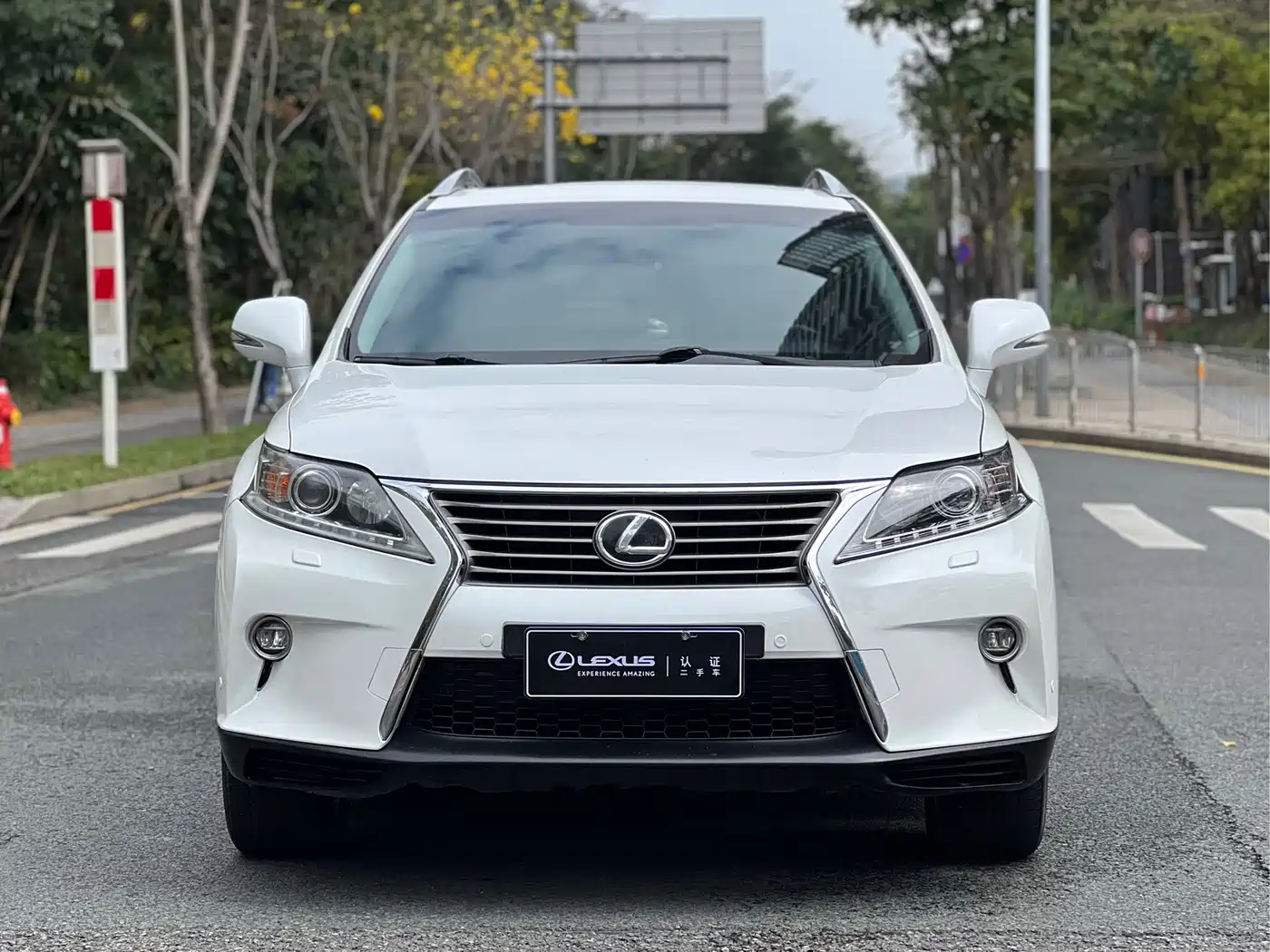Lexus RX Classic 2014 2013 270 Elite