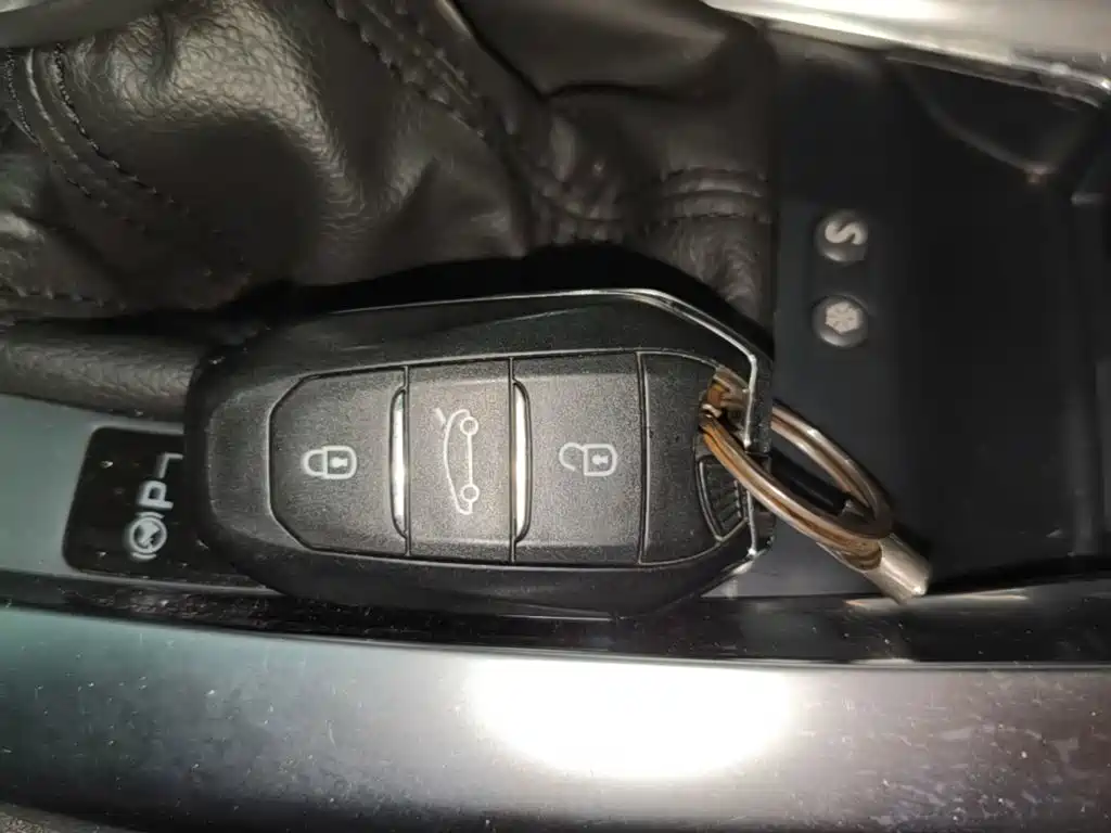 DS 6 2017 2016 1.6T Luxury THP160