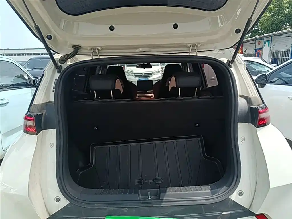 BYD Seagull 2023 Freedom Edition фото 19