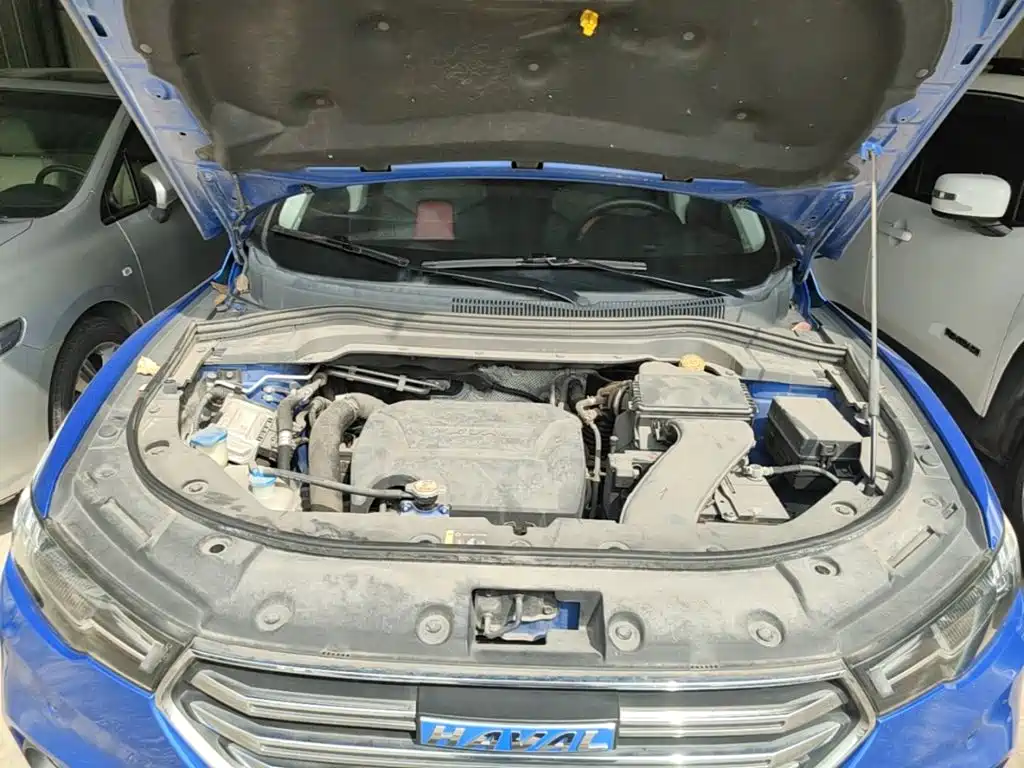 Photo 20 - Haval H2s