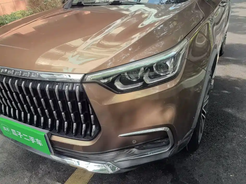 Leopaard Mattu 2019 2018 1.6T GDI DCT Elite