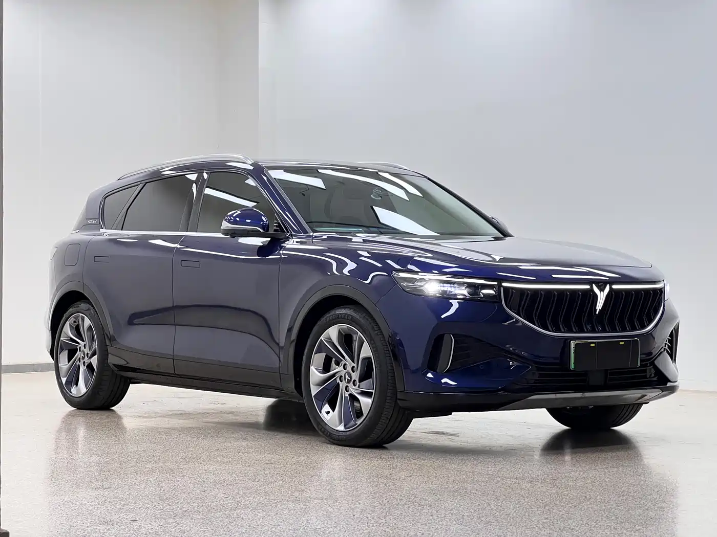 Voyah Auto VOYAH FREE 2021 AWD Standard Range Extender Exclusive Luxury Package фото 3