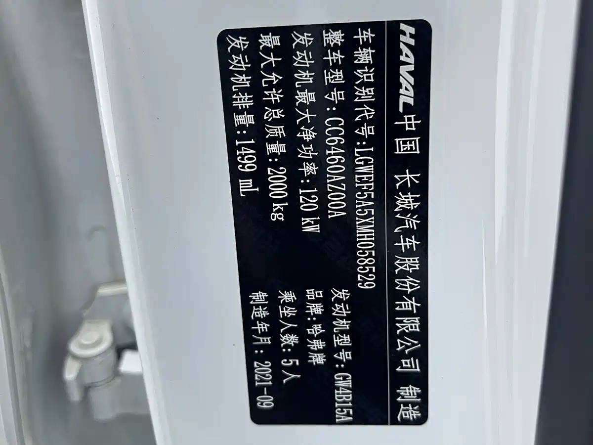 Haval Big Dog 2021 1.5T DCT 2WD Labrador Edition фото 17