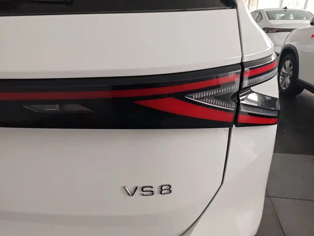Фото 8 - Jetta VS8