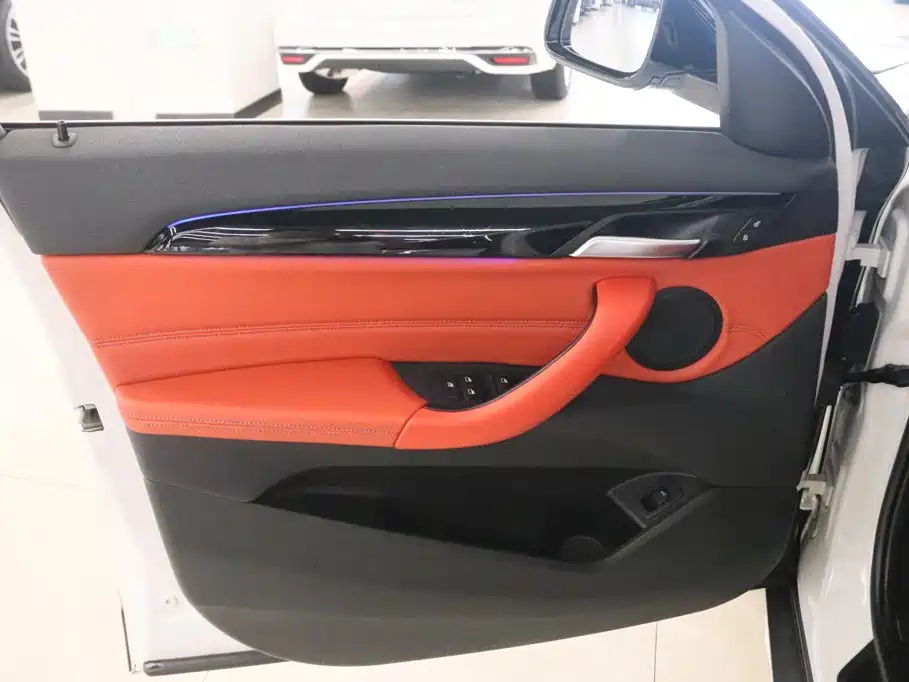 BMW X2 2020 2020 sDrive25i Leading M Off-Road Package