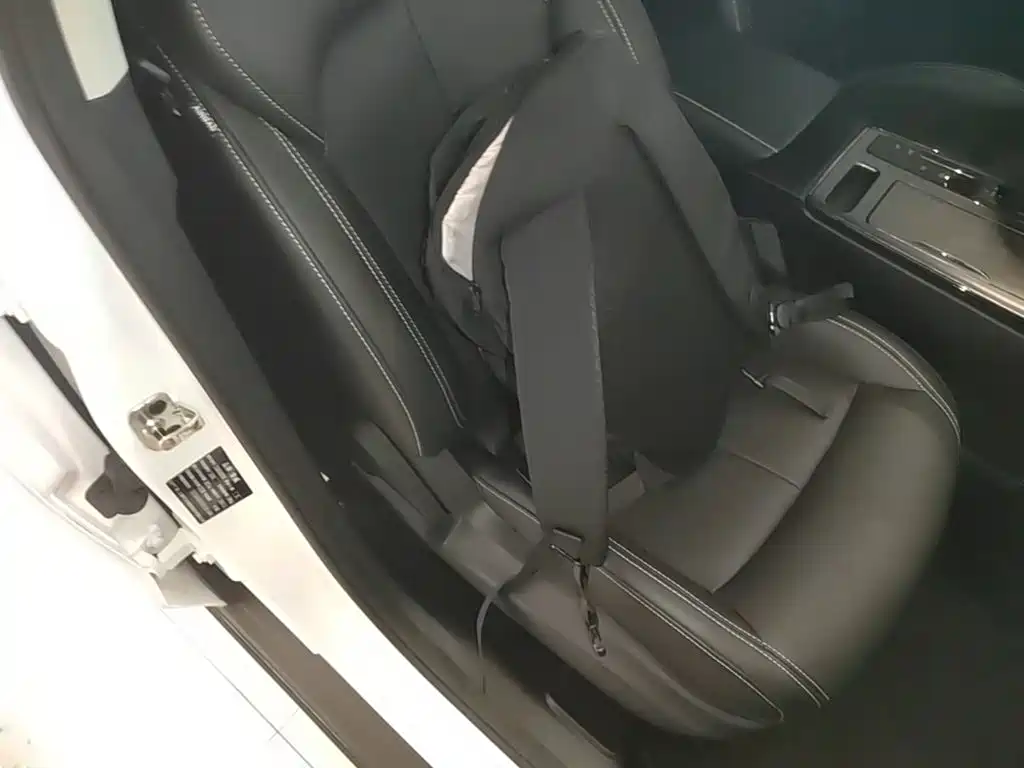 Roewe RX5 2024 2023 PLUS 330TGI Automatic Trend-leading Smart Enjoyment Edition