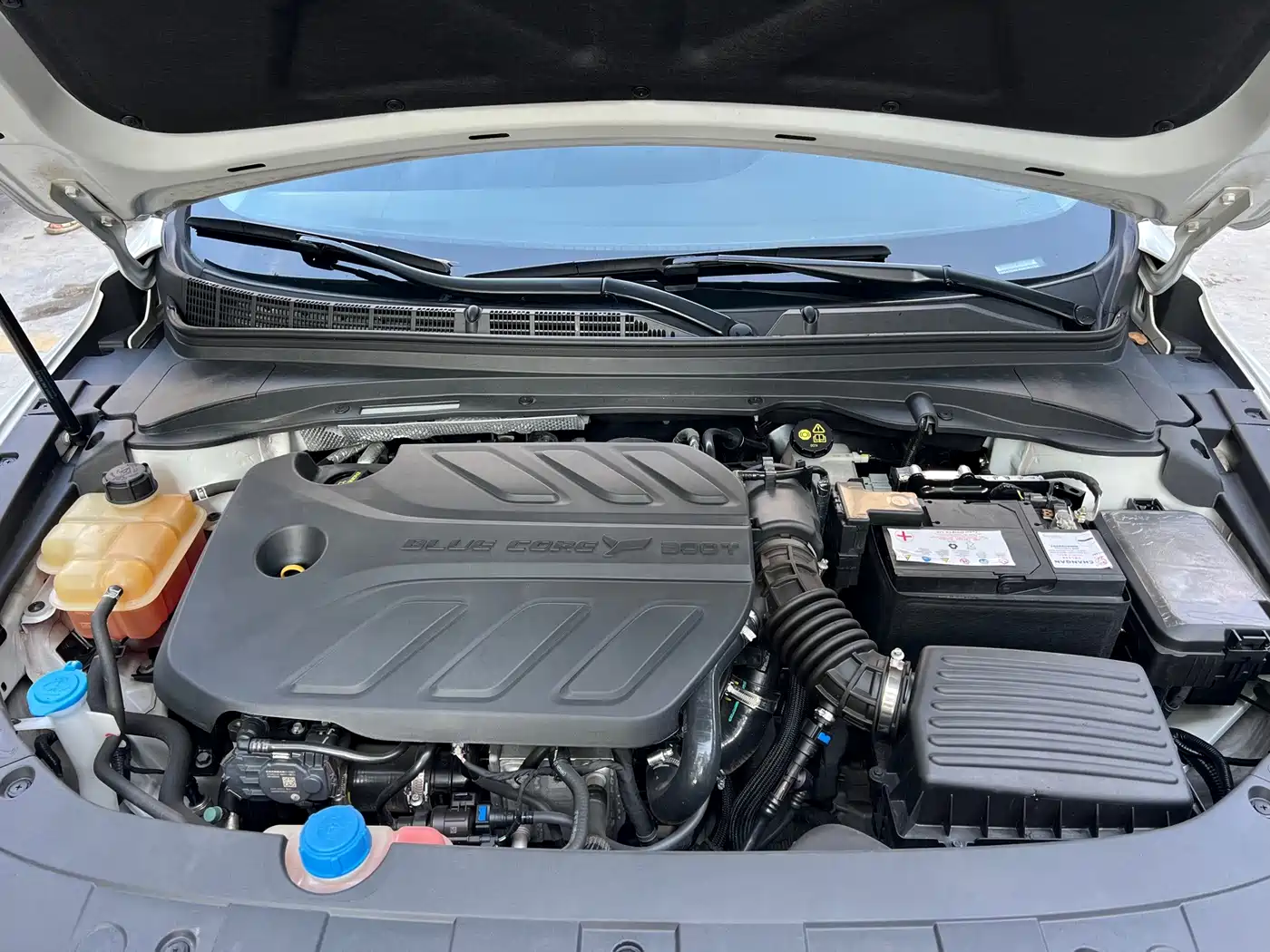 Changan Ruicheng CC 2022 2022 Blue Whale Edition 1.5T DCT Luxury
