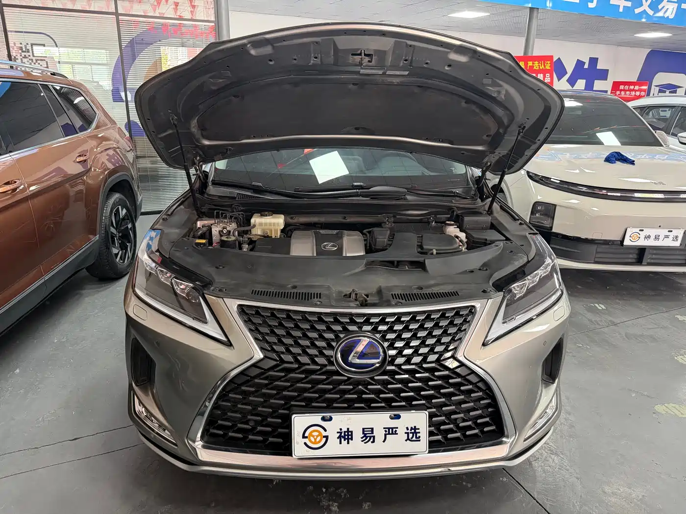 Lexus RX 2020 450h AWD Elegance Edition China V фото 11