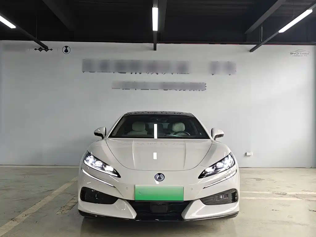 Фото 9 - Denza Z9GT