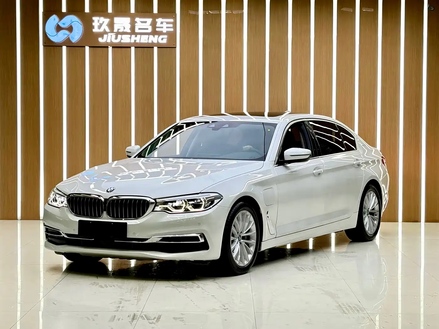 BMW 5 Series New Energy 2019 Facelift 530Le Pioneer Edition
