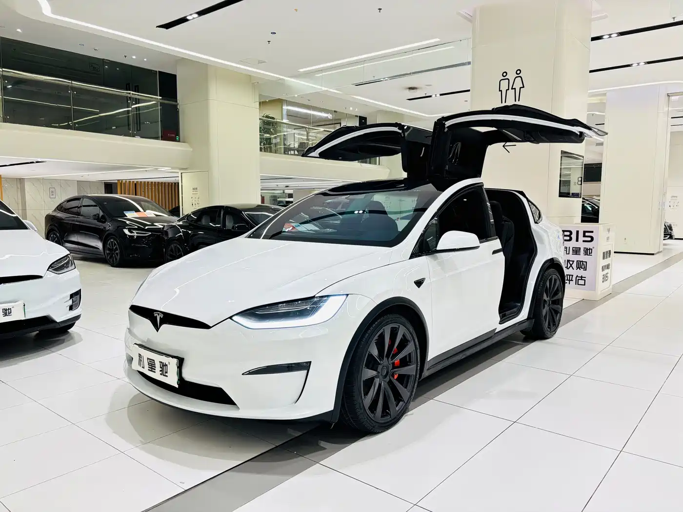 Tesla Model X 2024 2023 Dual Motor All-Wheel Drive Edition