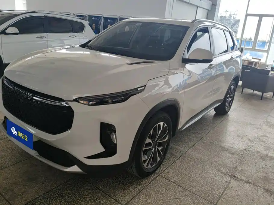 SAIC Maxus Maxus D60 2019 — пригон из Китая