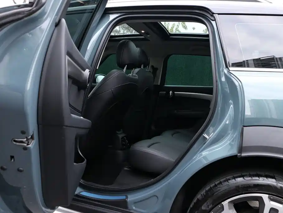 MINI COUNTRYMAN 2022 2022 2.0T COOPER S