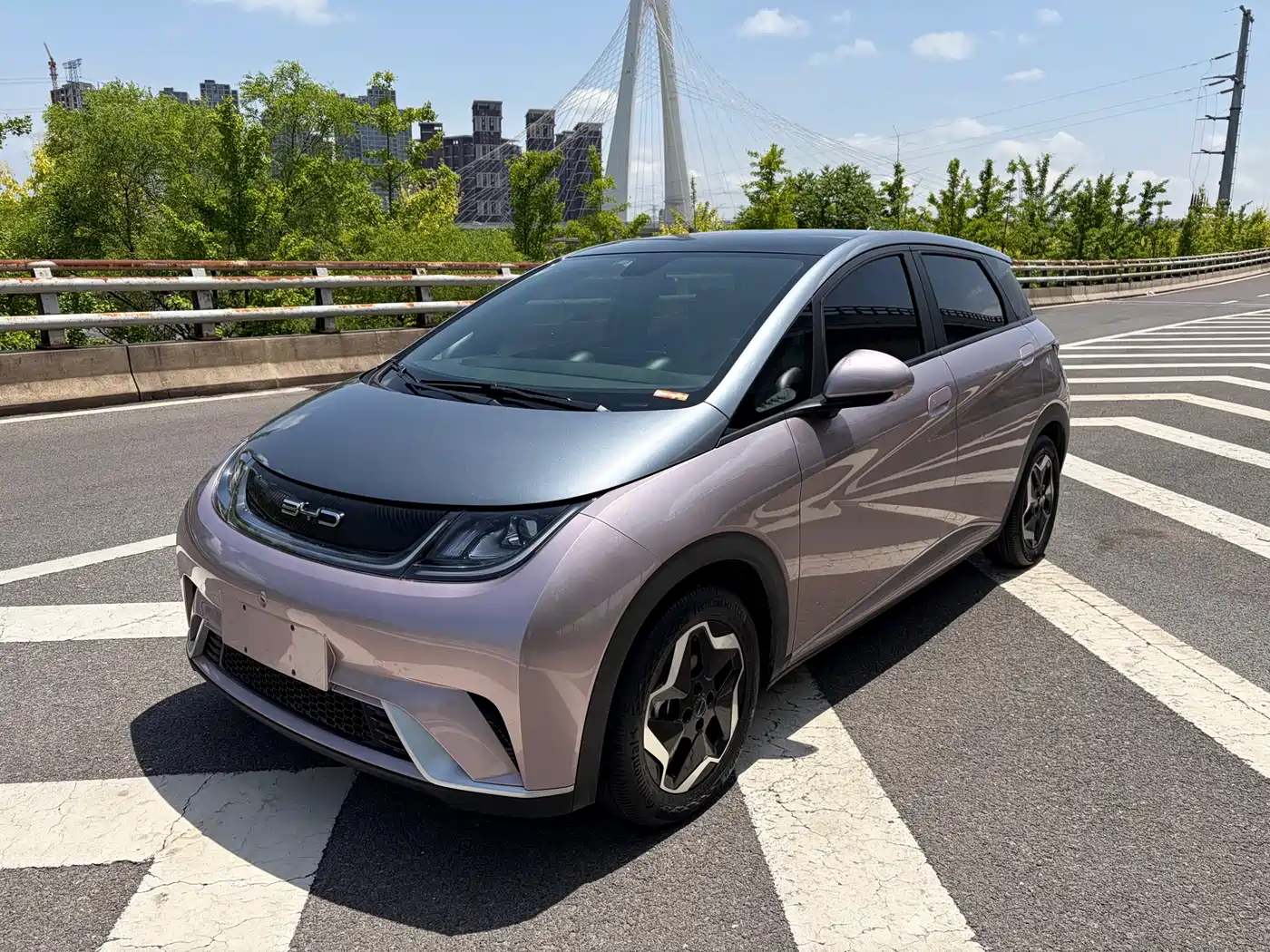 BYD Dolphin 2021 Model 405km Fashion Edition
