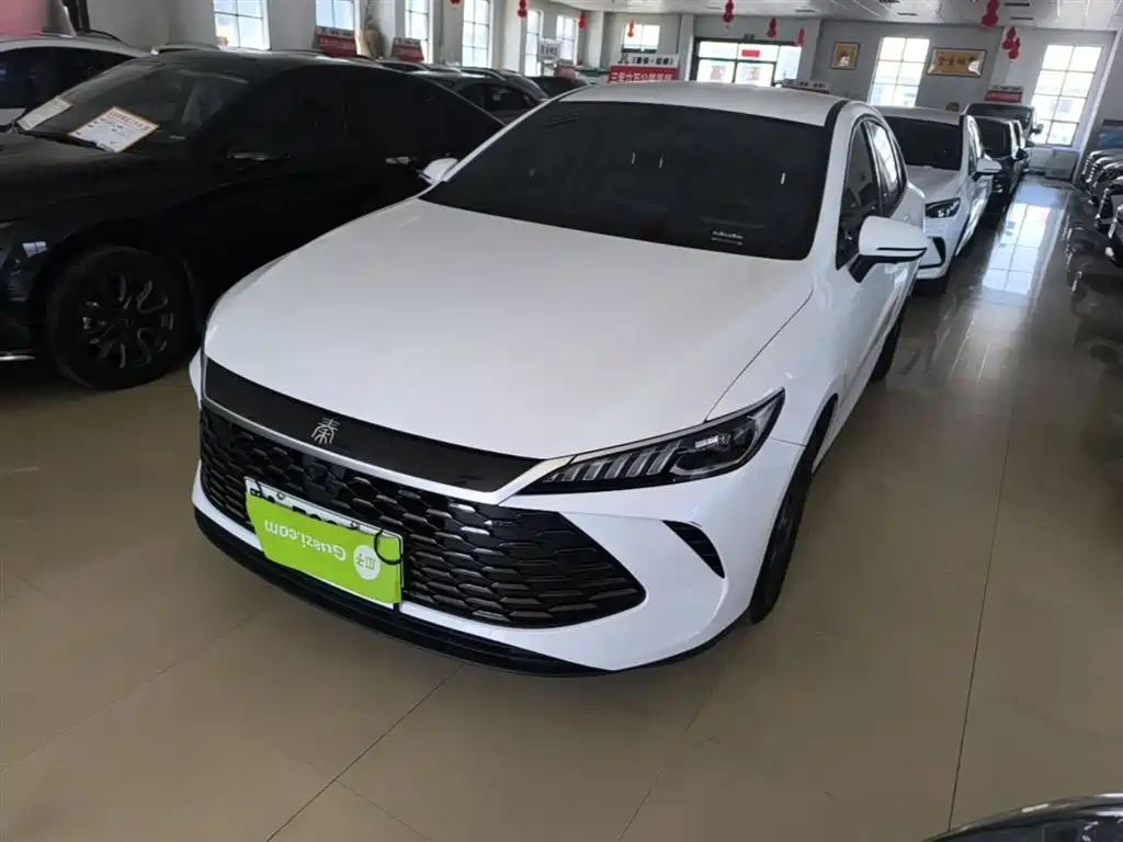 BYD Qin PLUS 2025 DM-i Smart Drive 55KM Leader