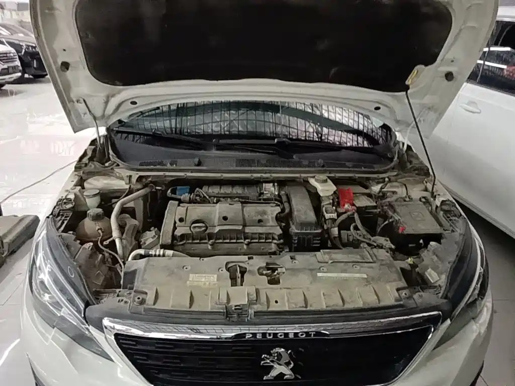 صورة 20 - Peugeot 308