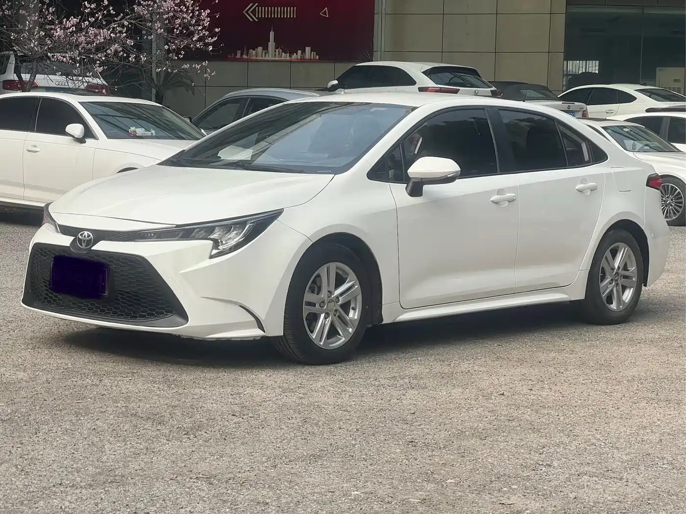 Toyota Levin