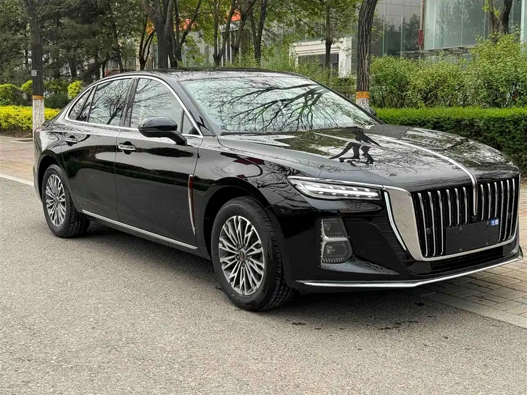 Hongqi H5 2025 1.5T DCT Flag Rhythm 500,000 Units Memorial Edition фото 2