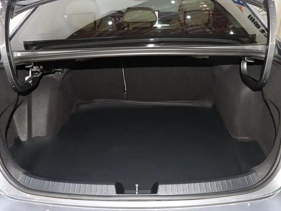 Photo 17 - Volkswagen Sagitar