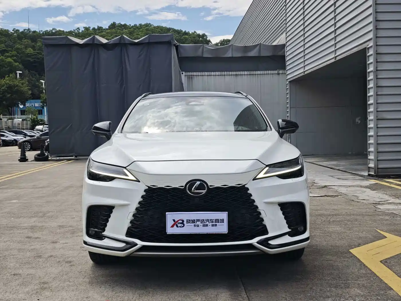 Фото 2 - Lexus RX