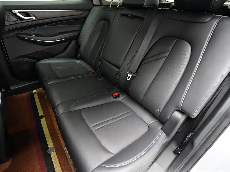 Landian E5 2024 2024 Glory Edition 100KM Comfort Type 7-Seater