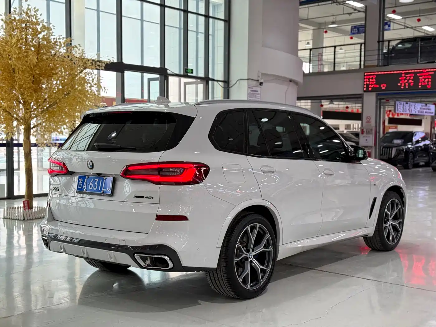 BMW X5 (Import) 2019 xDrive40i Exclusive M Sport Package фото 6
