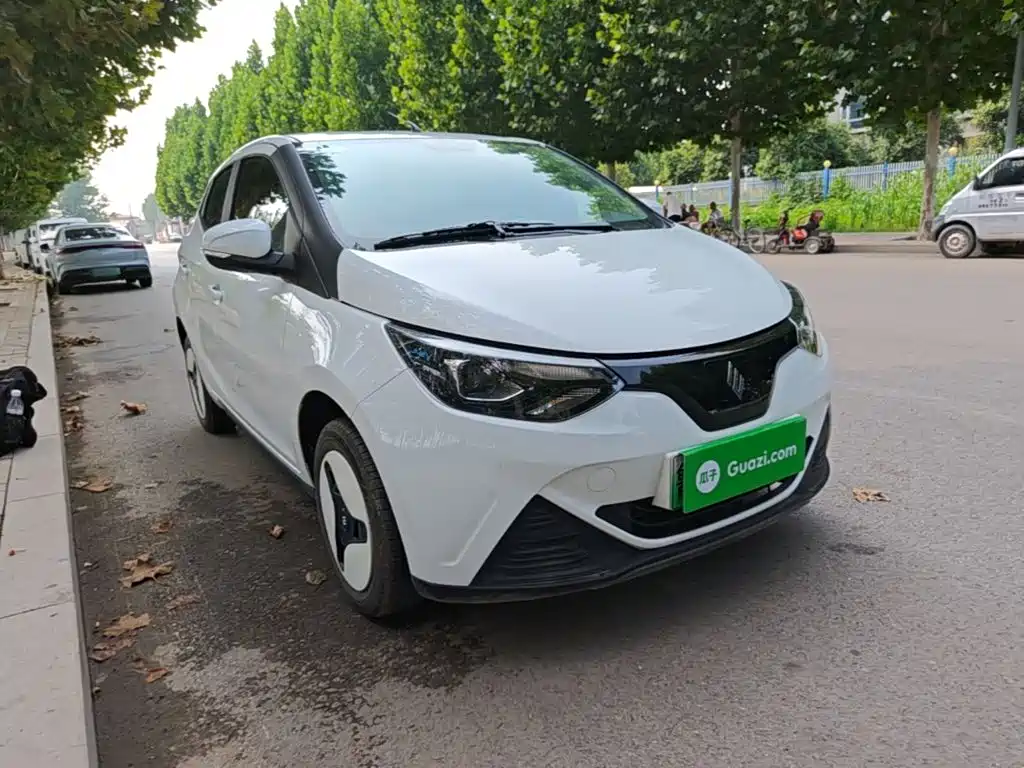 JMCG New Energy Little Kirin 2025 2024 201km Comfort Model