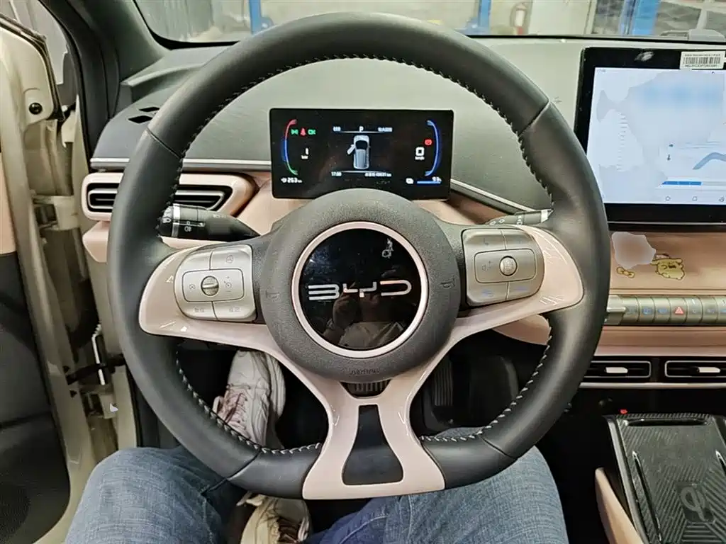 BYD Seagull 2023 Freedom Edition фото 11