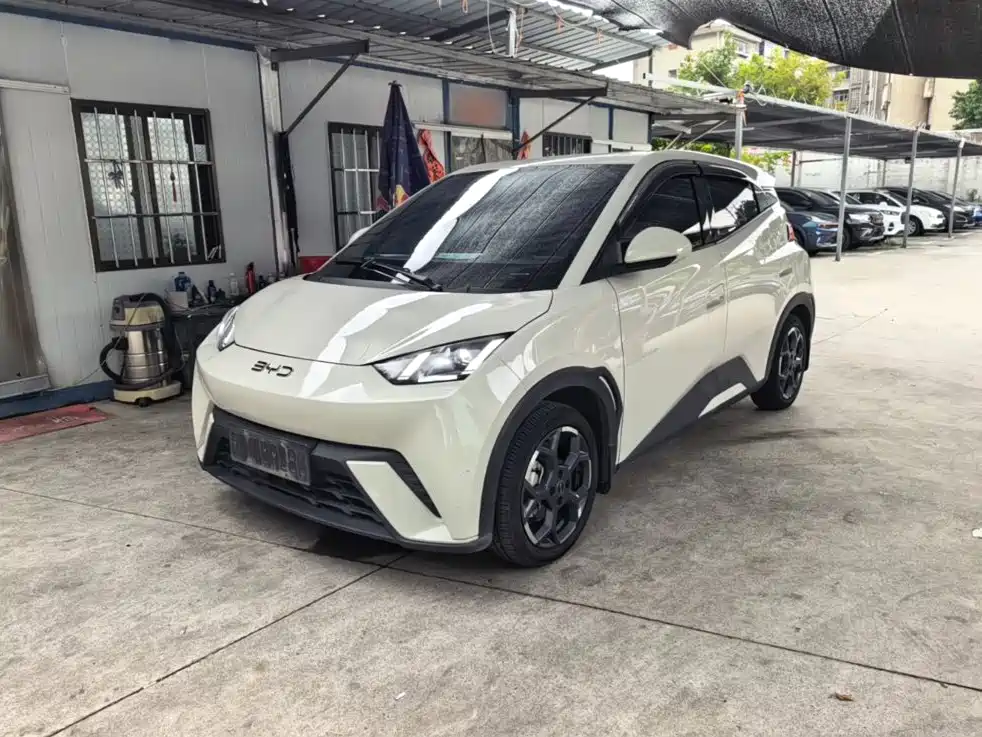 BYD Seagull 2024
