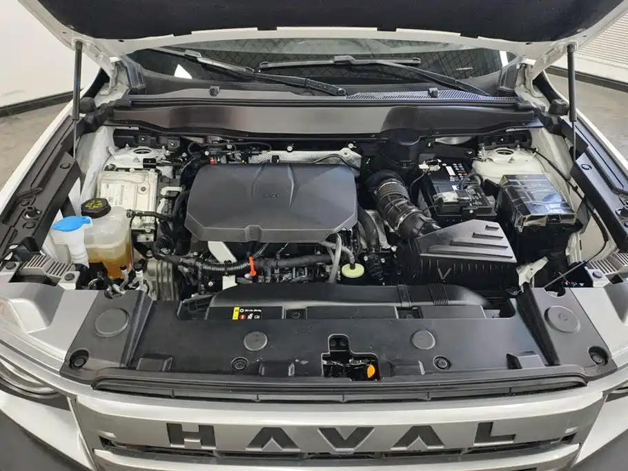 Photo 10 - Haval Big Dog