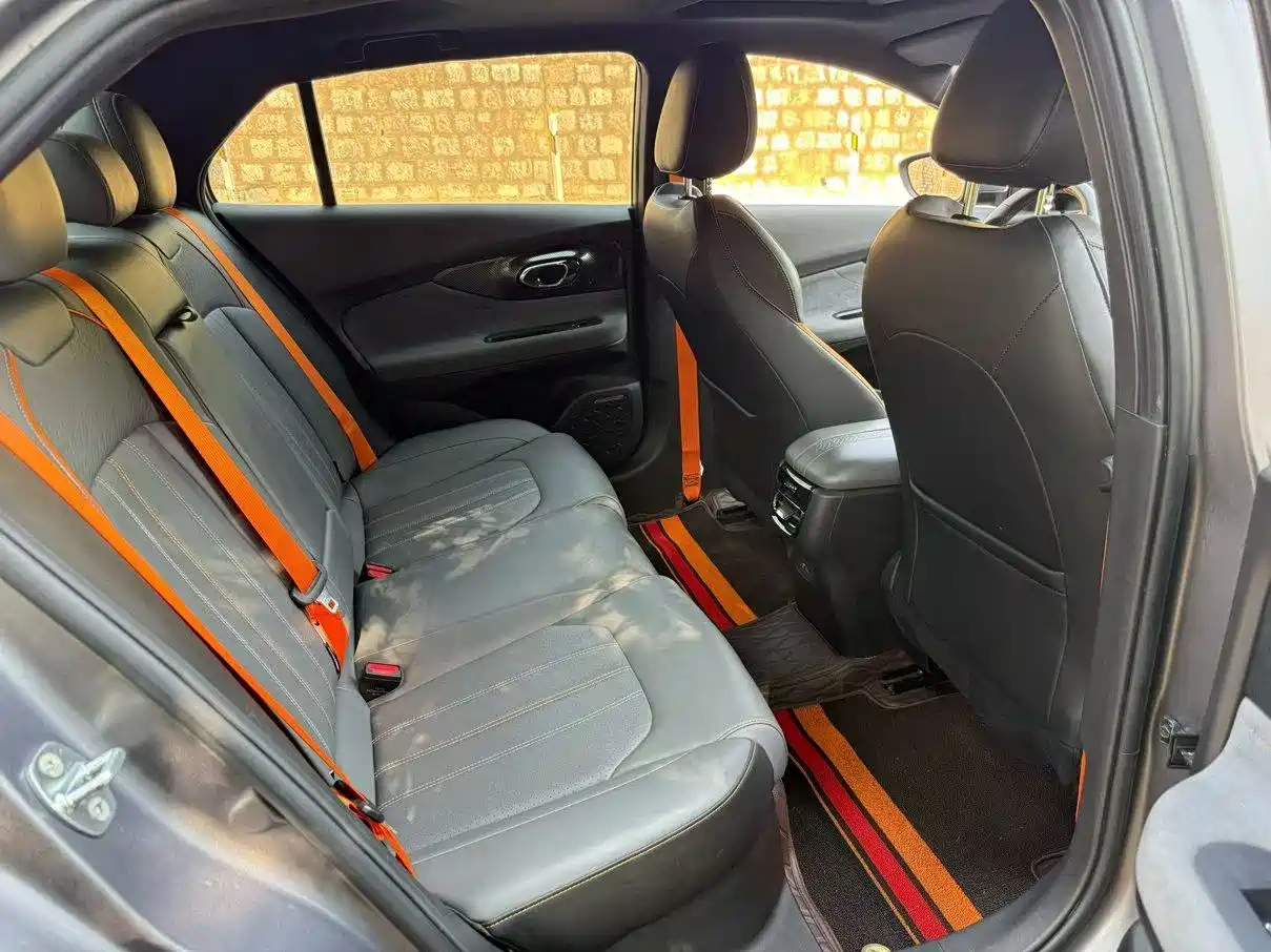 GAC TRUMPCHI SHADOW LEOPARD