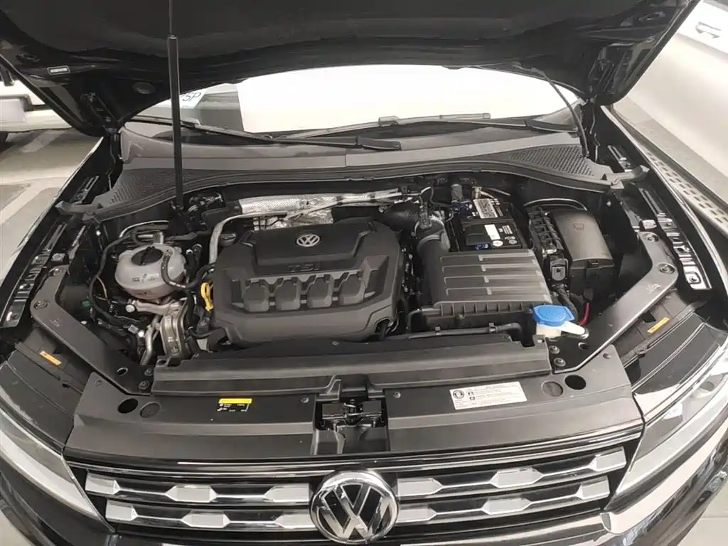 Volkswagen Tiguan L 2019 330TSI Automatic 2WD Smart Luxury Edition China VI фото 20