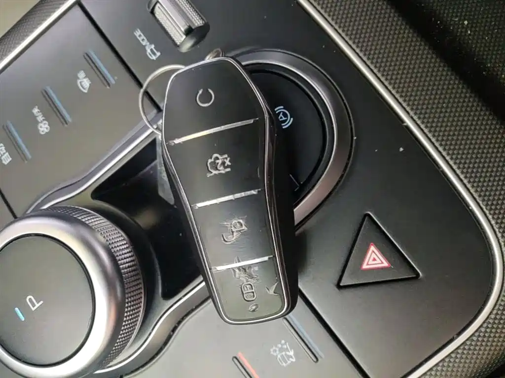 BYD Destroyer 05 2024 Glory Edition DM-i 55KM Luxury фото 9