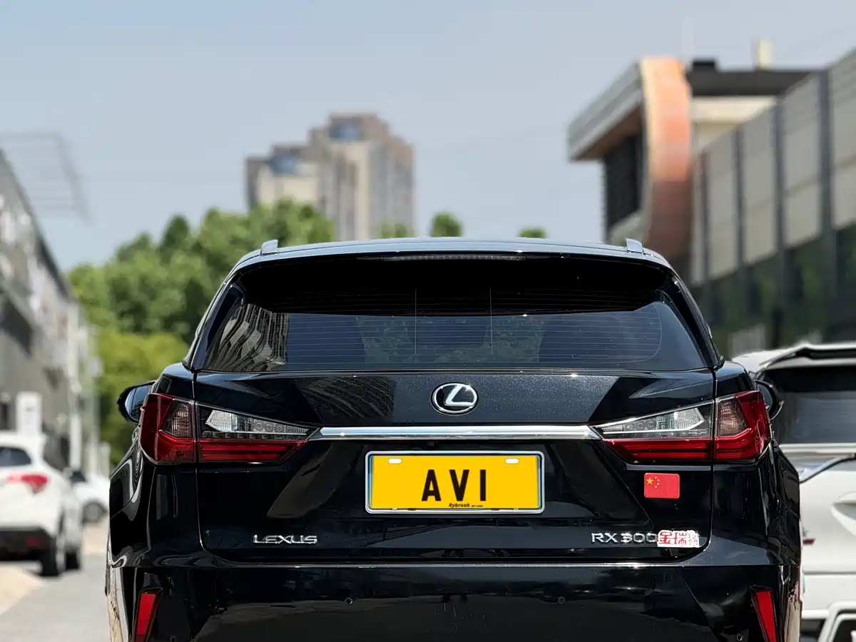 LEXUS RX