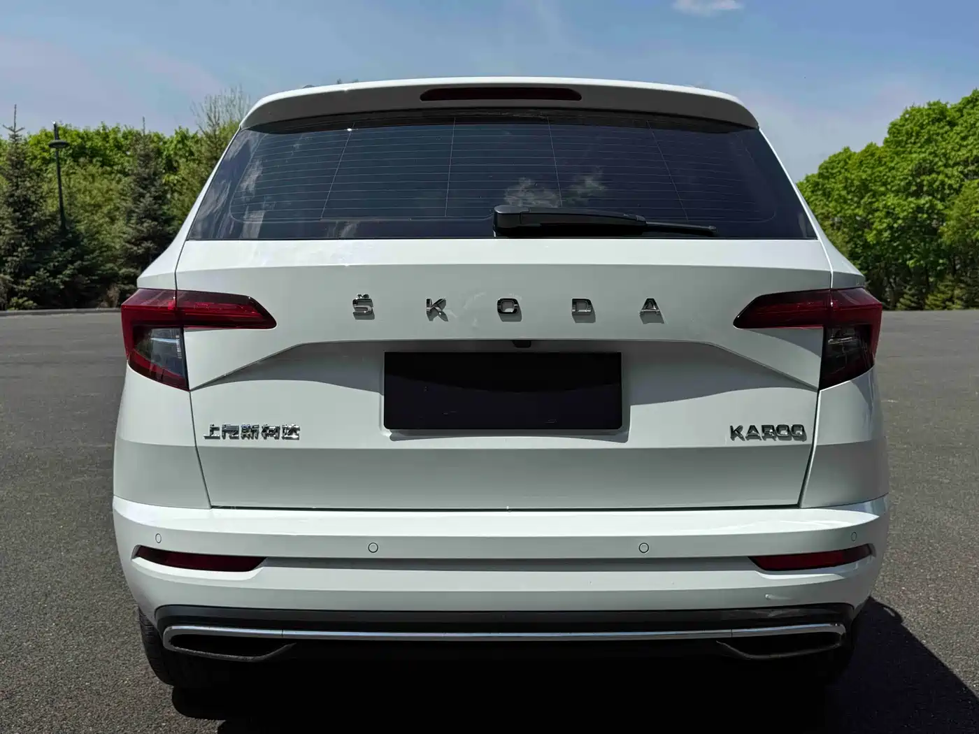 Škoda Karoq 2023 TSI280 Premium Edition фото 5