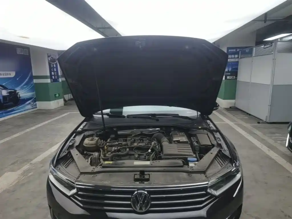 Volkswagen Magotan 2018 Facelift 330TSI DSG Luxury фото 20
