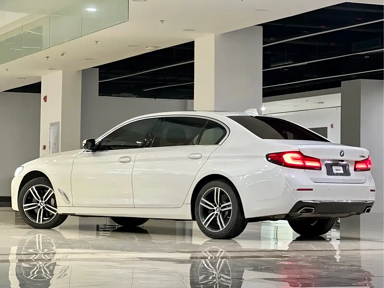 BMW 5 Series 2021 530Li Leading Luxury Package фото 4