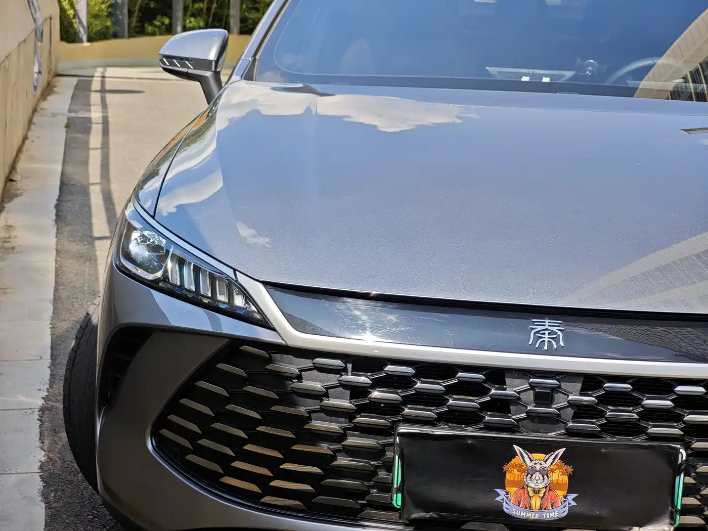 BYD Qin PLUS 2025 DM-i Smart Drive 55KM Leader фото 4