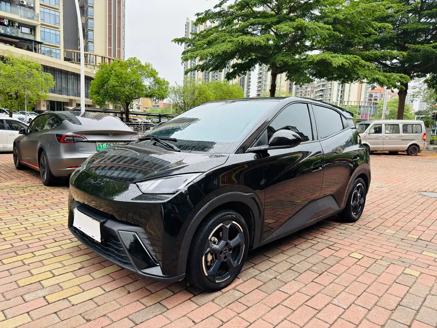 BYD Seagull 2024 Glory Edition 305km Freedom Edition фото 3