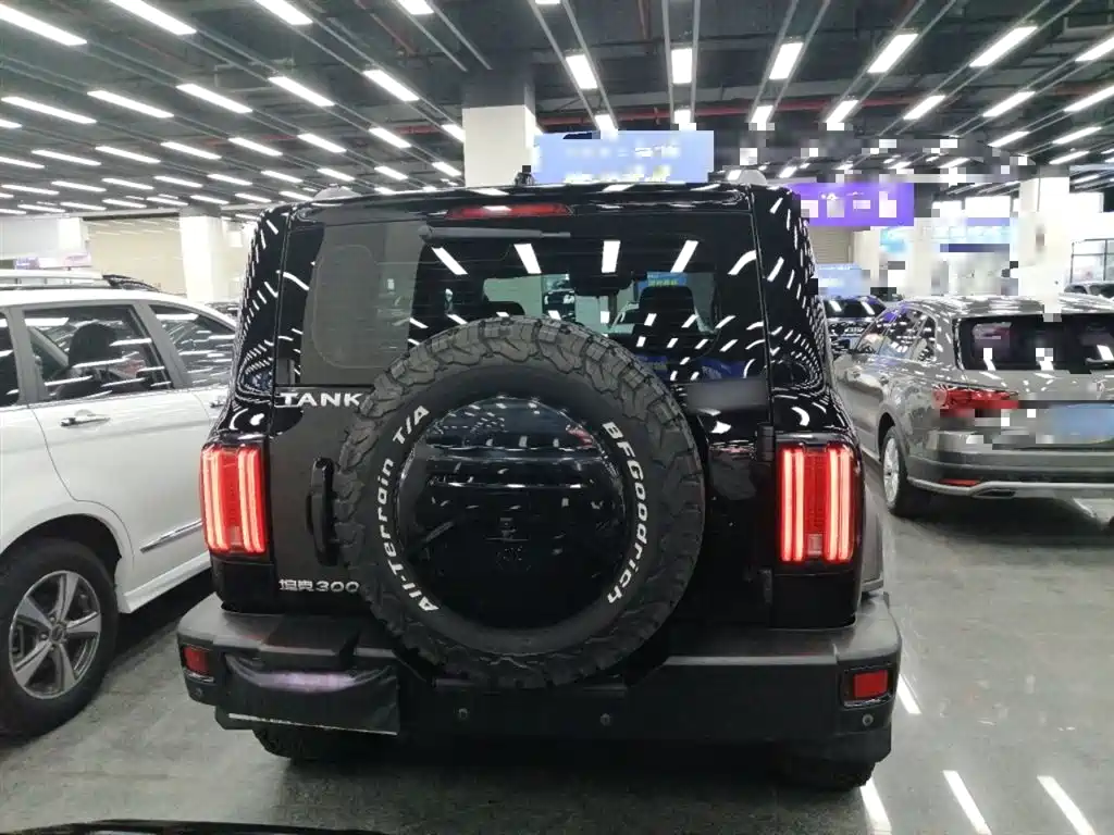 Tank 300 2023 Off-Road Edition 2.0T Conqueror фото 4