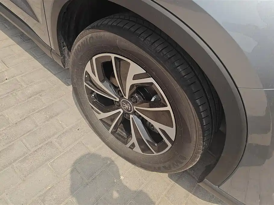 BYD Song Pro New Energy 2025 2nd Gen DM-i 75KM Leading Type фото 6