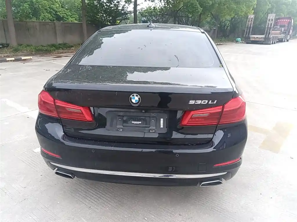 BMW 5 Series 2019 Facelift 530Li Premium Luxury Package фото 6
