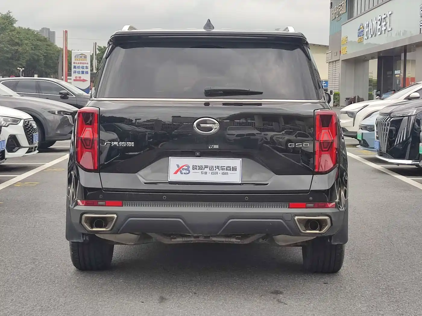 GAC Trumpchi Trumpchi GS8 2022 Pilot Series 2.0TGDI 2WD Luxury Smart Connect Edition (7-Seater) фото 6