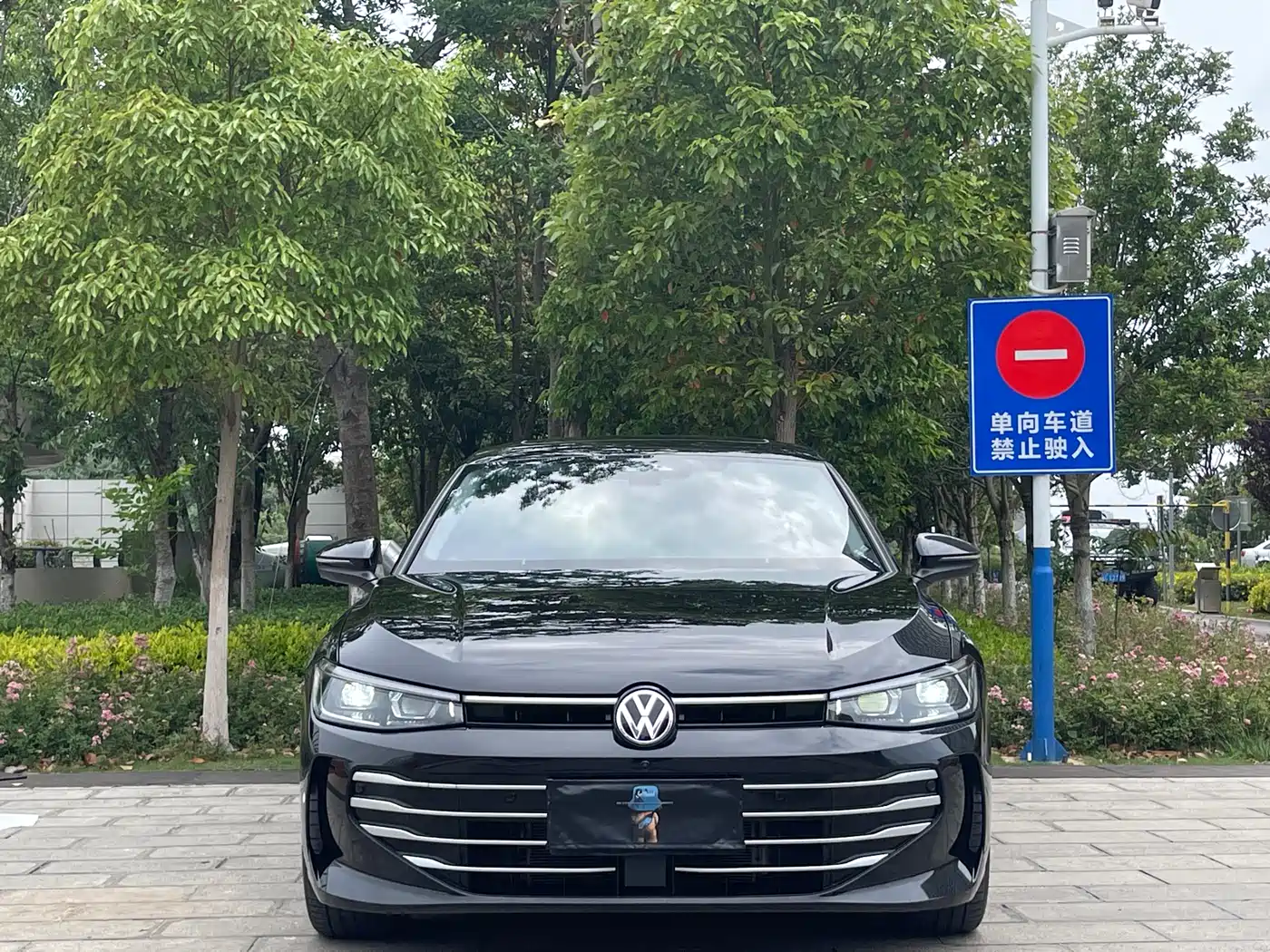 Volkswagen Passat 2025 Pro 380TSI Dragon Fortune Edition фото 2