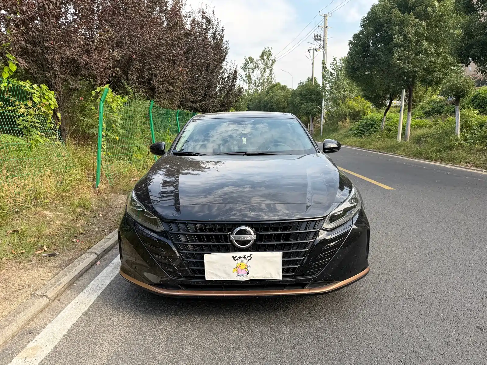 صورة 2 - Nissan Teana